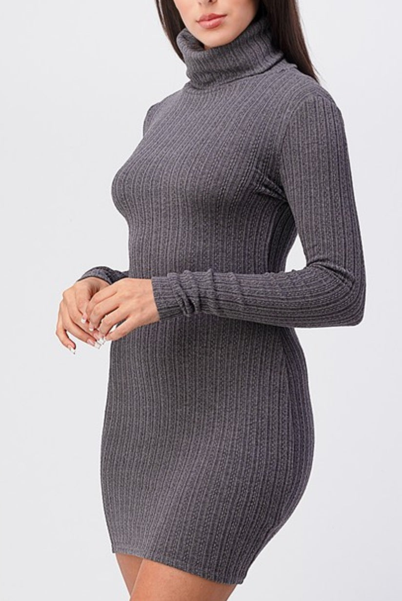 Turtle Neck Knit Mini Dress