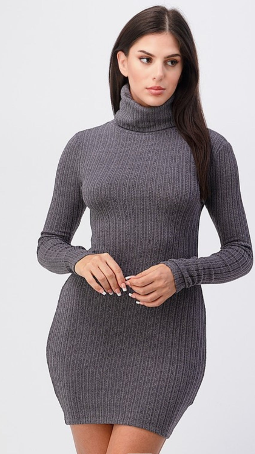 Turtle Neck Knit Mini Dress